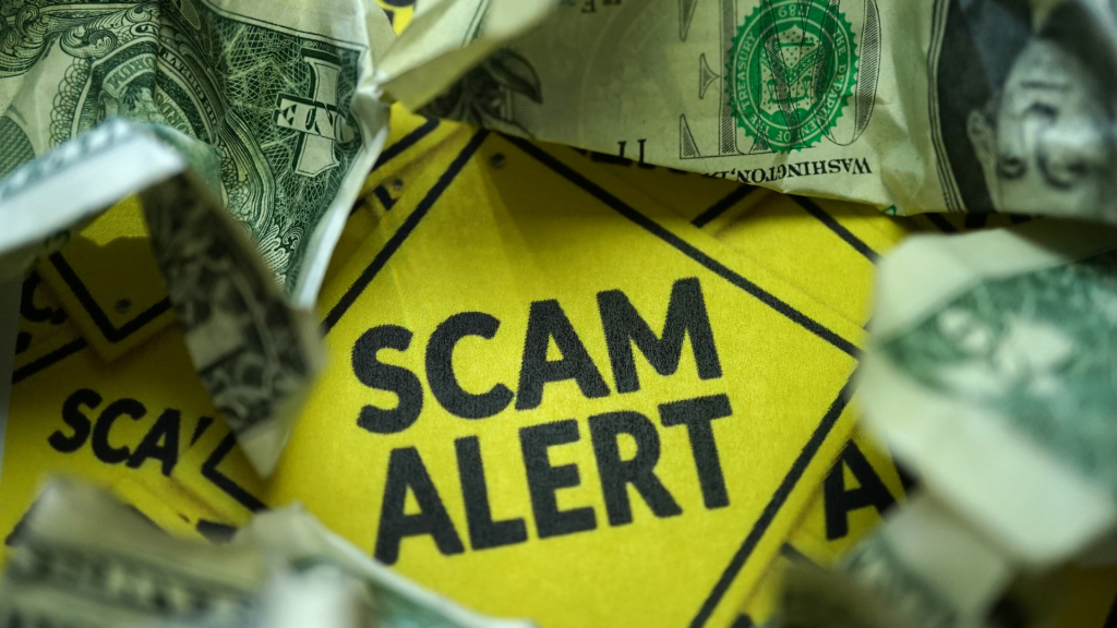 The IRS Dirty Dozen